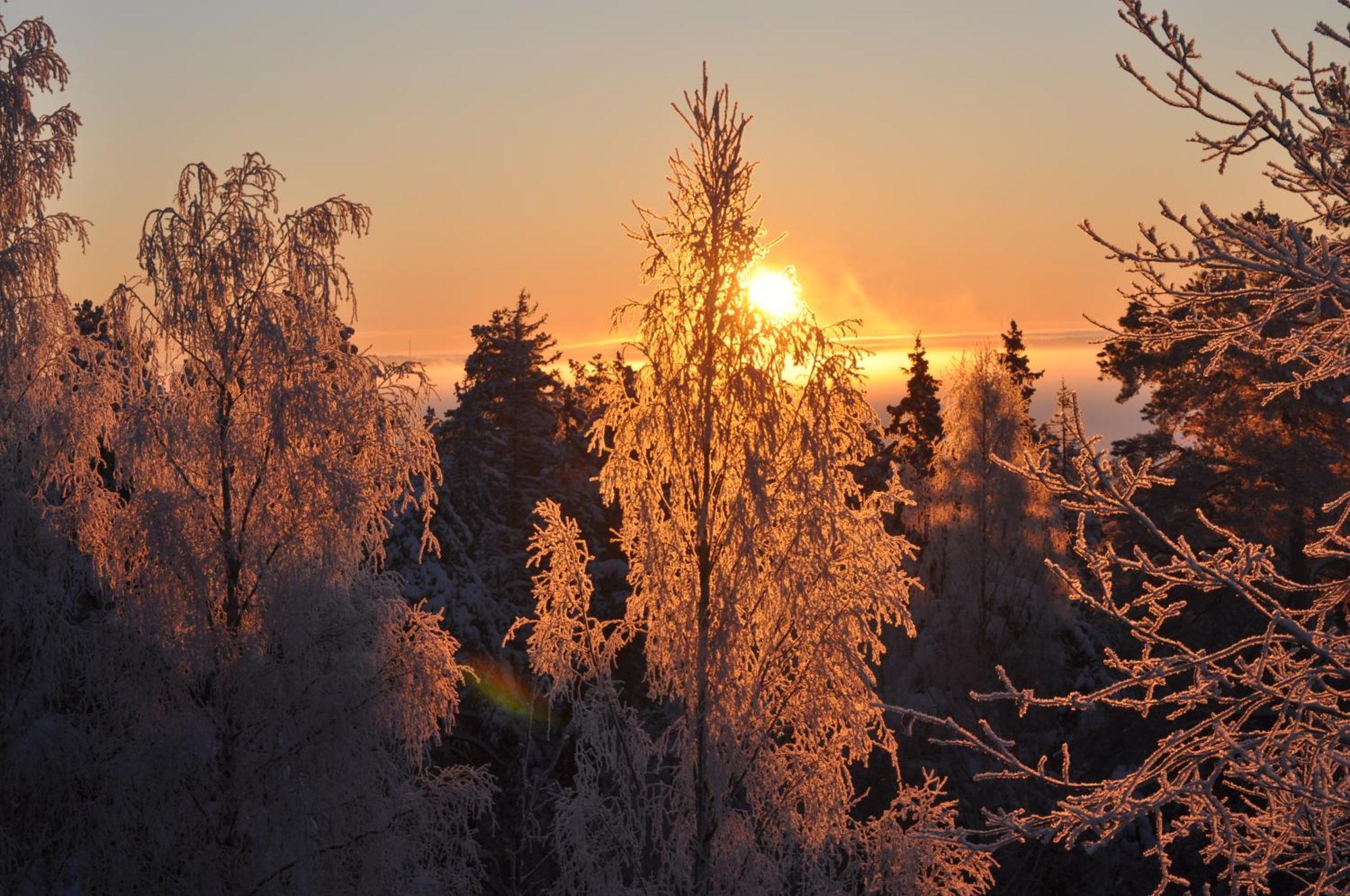 Vaihmalan Hovi Hotel Lempäälä Екстериор снимка